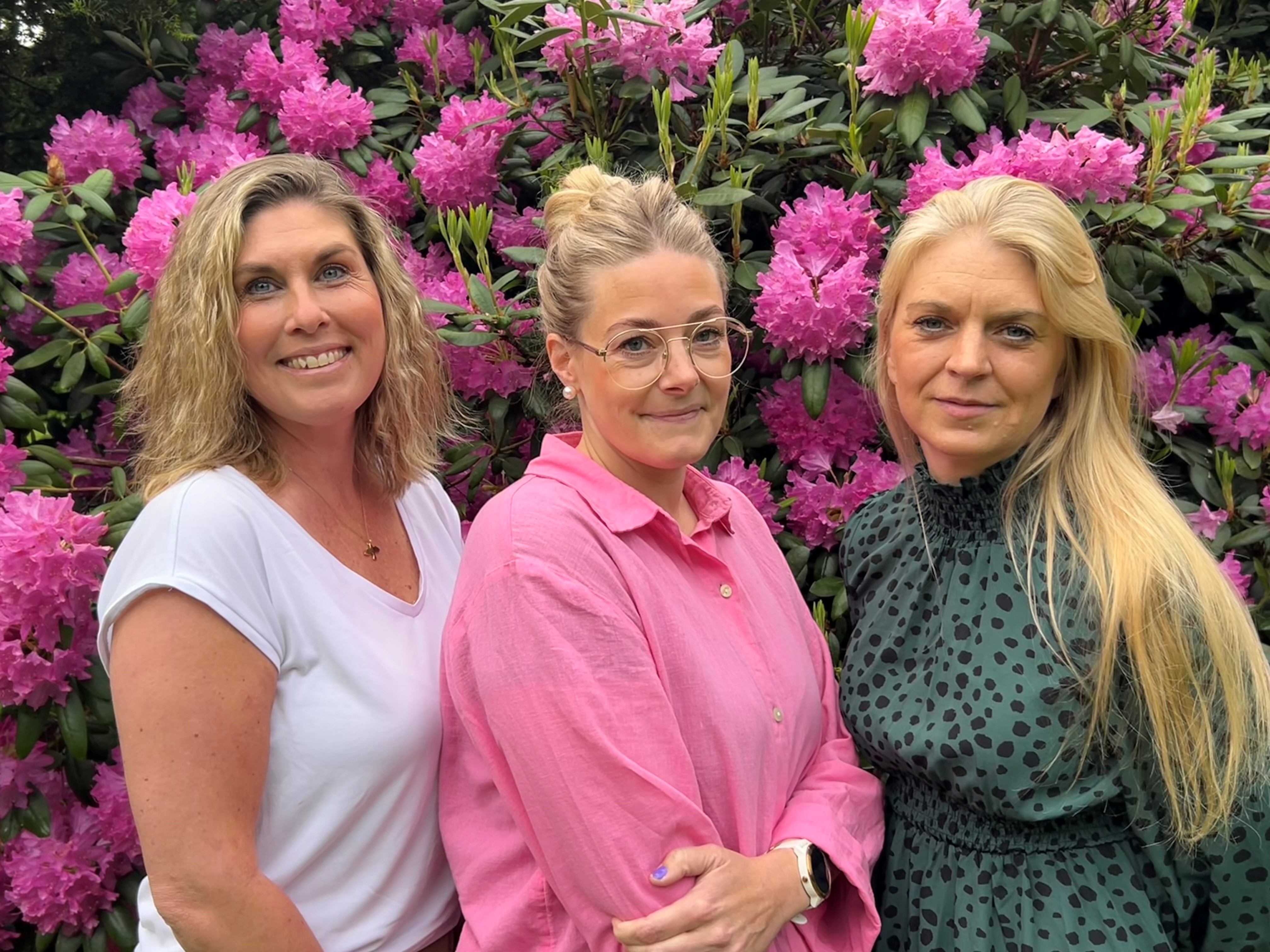 Senior alerts arbetsgrupp